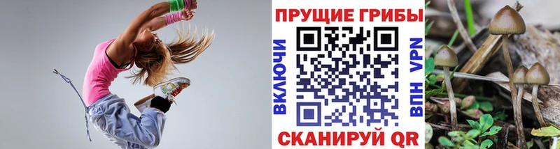 Псилоцибиновые грибы мицелий  Купить где  Усть-Катав 